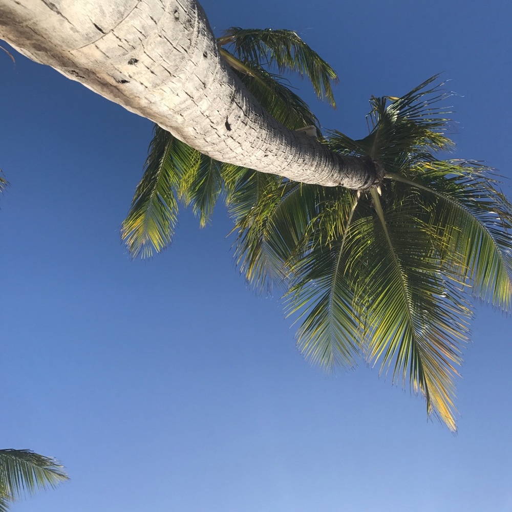 Meet your Posher, Carly